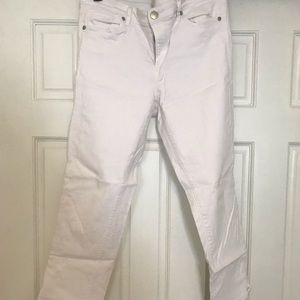 Loft modern crop pants